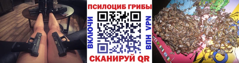 площадка Telegram  Североморск  Псилоцибиновые грибы GOLDEN TEACHER 