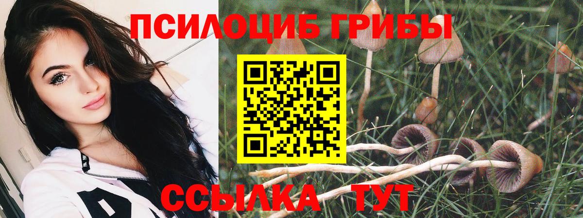 Галлюциногенные грибы GOLDEN TEACHER Североморск